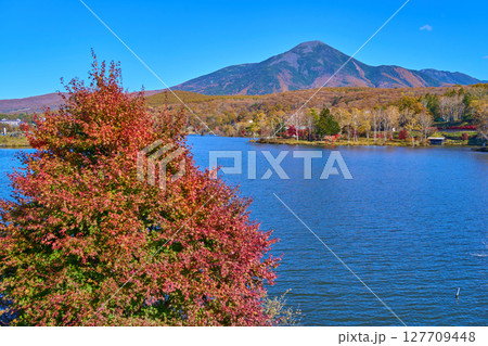 秋の長野県の白樺湖西側湖畔(R152号)から東側の風景(蓼科山,池の平神社鳥居など) 秋の長野県の白樺湖西側湖畔(R152号)から東側の風景(蓼科山,池の平神社鳥居など) 127709448