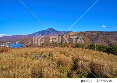 秋の長野県の白樺湖展望台付近から蓼科山,白樺湖方面の眺望 127709461