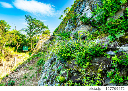【続日本100名城】一宮城 本丸北側石垣5 徳島県徳島市 【続日本100名城】一宮城 本丸北側石垣5 徳島県徳島市 127709472