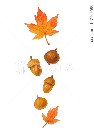 紅葉とどんぐりの水彩イラスト（秋・縦配置・切り抜き素材） 127709599
