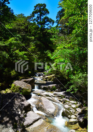 屋久島　渓流 127709600