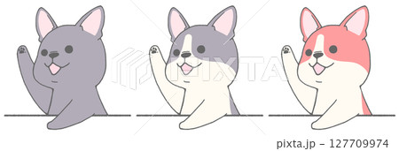 挙手するフレンチブルドッグ(3種) 127709974