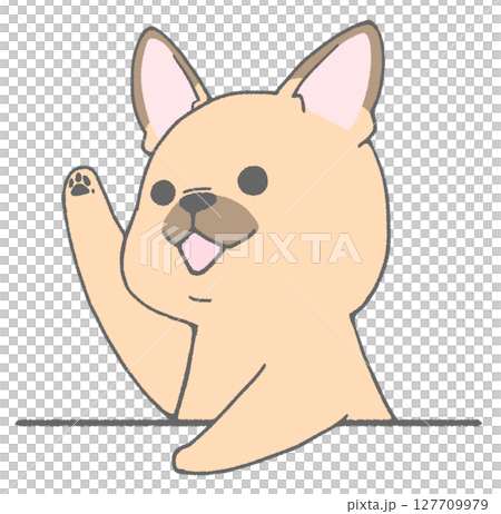 French bulldog (brown) raising hand French bulldog (brown) raising hand 127709979