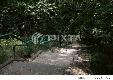 Stone steps descend under the cover of dense green foliage 127710005