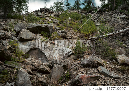 Rocky mountain trail winding through the forest Rocky mountain trail winding through the forest 127710007