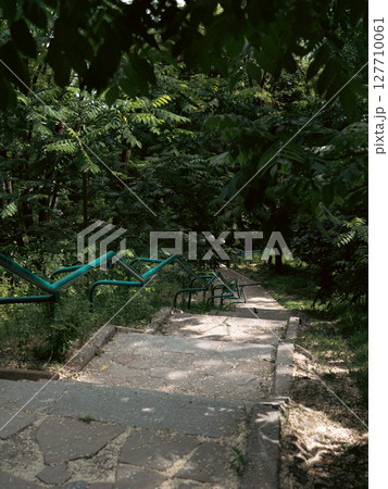 Stone steps descend under the cover of dense green foliage Stone steps descend under the cover of dense green foliage 127710061