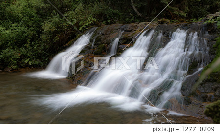 This tranquil waterfall flows gracefully over rocks, with vibrant green plants framing the scene. 127710209