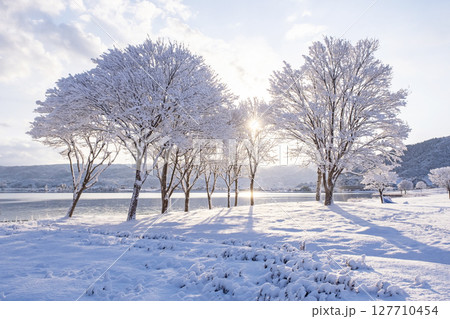 湖畔の雪景色　東郷池周辺 127710454