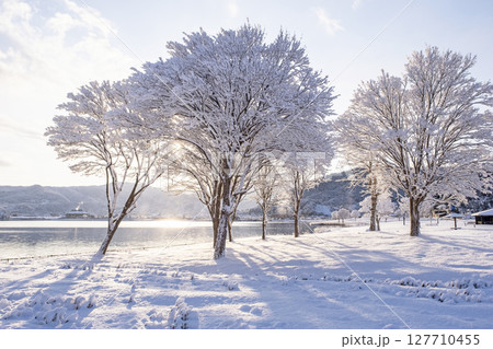 湖畔の雪景色 東郷池周辺 湖畔の雪景色 東郷池周辺 127710455
