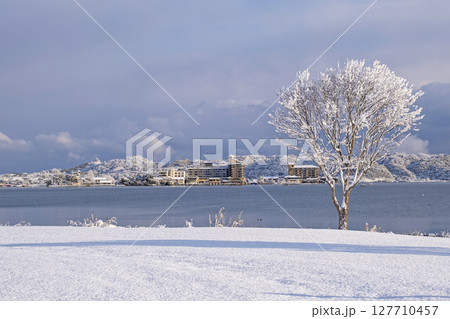 湖畔の雪景色　東郷池周辺 127710457