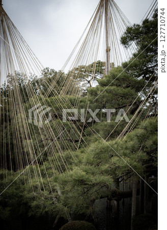 兼六園の雪吊り 兼六園の雪吊り 127710744