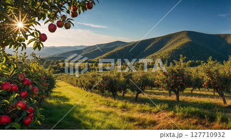Picturesque apple orchard with ripe red apples, rolling green hills, and a golden sunset, symbolizing harvest, nature, and countryside beauty 127710932