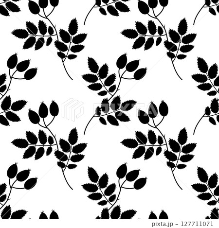 Hand Drawn Silhouette Rose hips on branch with leaves Seamless Pattern Botanical Minimalist Backdrop 127711071