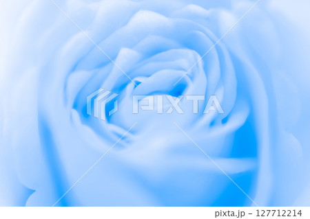 バラ・花びら 背景素材 バラ・花びら 背景素材 127712214