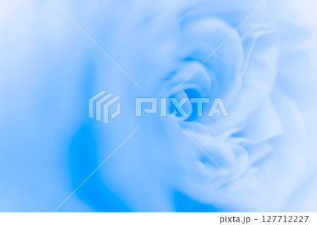 バラ・花びら 背景素材 127712227