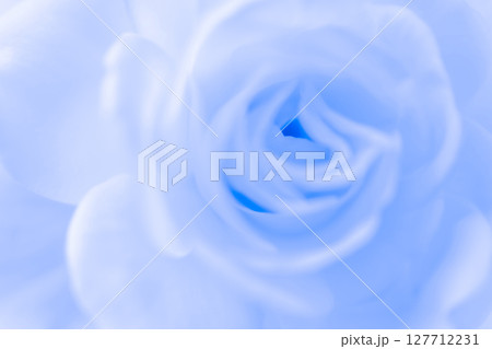 バラ・花びら 背景素材 バラ・花びら 背景素材 127712231