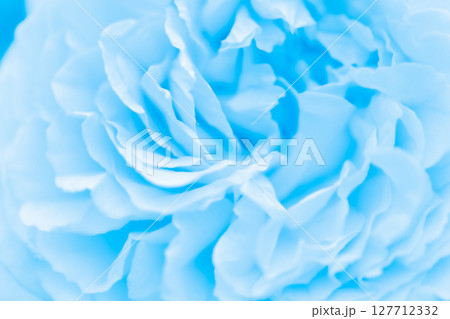 バラ・花びら 背景素材 127712332
