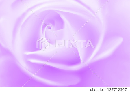 バラ・花びら 背景素材 127712367