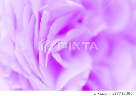 バラ・花びら 背景素材 バラ・花びら 背景素材 127712390