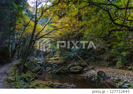 秋の三重県名張市　紅葉の赤目四十八滝 127712645