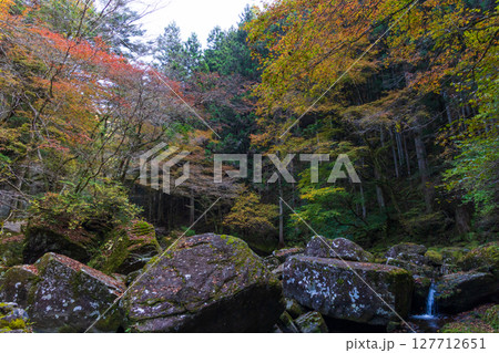 秋の三重県名張市　紅葉の赤目四十八滝 127712651