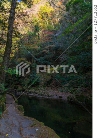 秋の三重県名張市　紅葉の赤目四十八滝 127712652