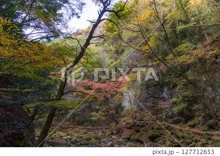秋の三重県名張市 紅葉の赤目四十八滝 秋の三重県名張市 紅葉の赤目四十八滝 127712653