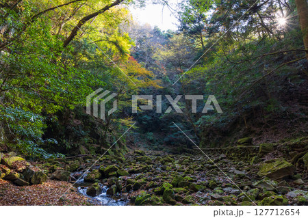 秋の三重県名張市 紅葉の赤目四十八滝 秋の三重県名張市 紅葉の赤目四十八滝 127712654