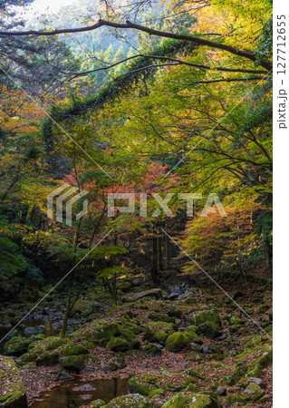 秋の三重県名張市 紅葉の赤目四十八滝 秋の三重県名張市 紅葉の赤目四十八滝 127712655