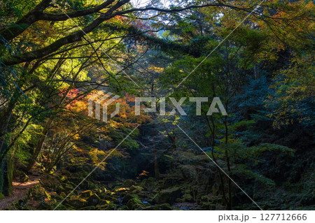 秋の三重県名張市　紅葉の赤目四十八滝 127712666