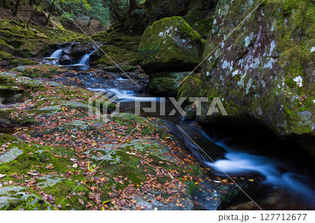 秋の三重県名張市　紅葉の赤目四十八滝　姉妹滝 127712677