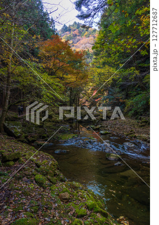 秋の三重県名張市 紅葉の赤目四十八滝 秋の三重県名張市 紅葉の赤目四十八滝 127712687