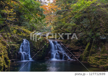 秋の三重県名張市 紅葉の赤目四十八滝 荷担滝(赤目五瀑) 秋の三重県名張市 紅葉の赤目四十八滝 荷担滝(赤目五瀑) 127712699