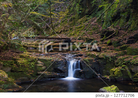秋の三重県名張市 紅葉の赤目四十八滝 琴滝 秋の三重県名張市 紅葉の赤目四十八滝 琴滝 127712706