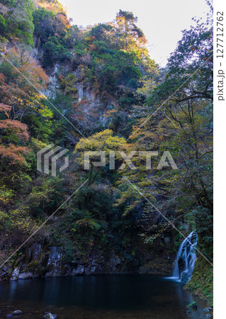 秋の三重県名張市　紅葉の赤目四十八滝　千手滝（赤目五瀑） 127712762