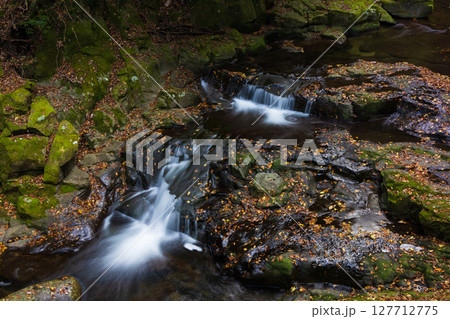 秋の三重県名張市　紅葉の赤目四十八滝 127712775
