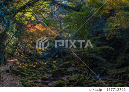 秋の三重県名張市 紅葉の赤目四十八滝 秋の三重県名張市 紅葉の赤目四十八滝 127712791
