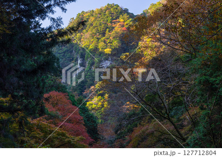 秋の三重県名張市 紅葉の赤目四十八滝 秋の三重県名張市 紅葉の赤目四十八滝 127712804