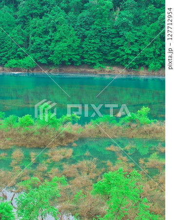 新緑の秋田県秋扇湖 水鏡の水没林 新緑の秋田県秋扇湖 水鏡の水没林 127712954