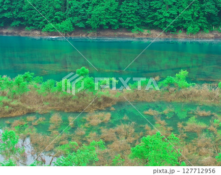 新緑の秋田県秋扇湖 水鏡の水没林 新緑の秋田県秋扇湖 水鏡の水没林 127712956