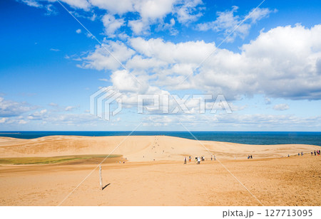 青空と雲と鳥取砂丘のシンプルな風景 127713095
