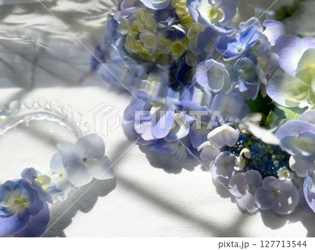 紫陽花の花 紫陽花の花 127713544
