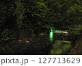 蛍の乱舞　中元寺川 127713629