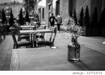 Minimalistic Beauty of a Flower in Black and White Minimalistic Beauty of a Flower in Black and White 127713713