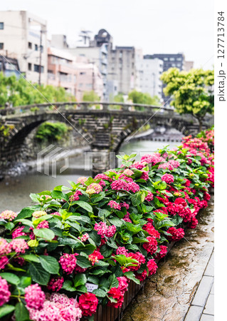 雨の日の眼鏡橋のアジサイ【長崎市】 127713784