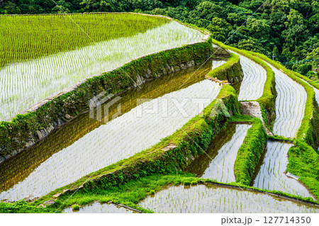 大中尾棚田　田植え後　【長崎市】 127714350
