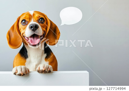 A beagle dog with a speech bubble above its head 127714994