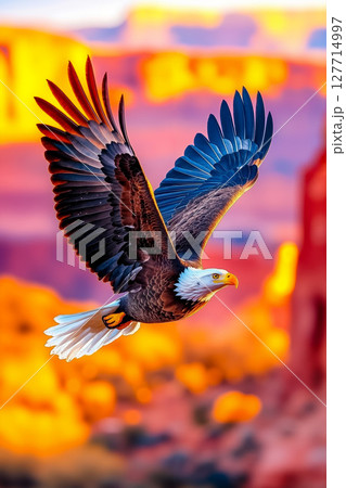 A bald eagle flying through the air with its wings spread 127714997