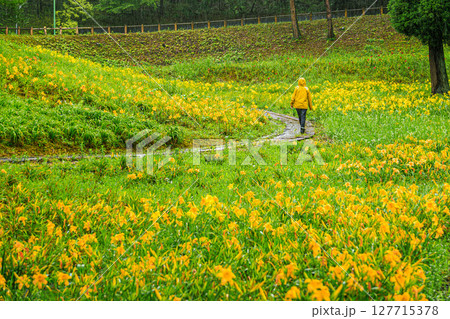 雨に咲く花と黄色いレインコート 127715378