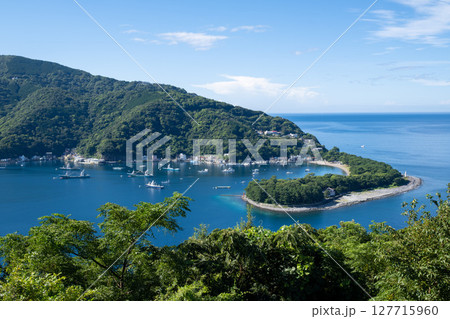 戸田の御浜岬 - 静岡県沼津市,日本 戸田の御浜岬 - 静岡県沼津市,日本 127715960